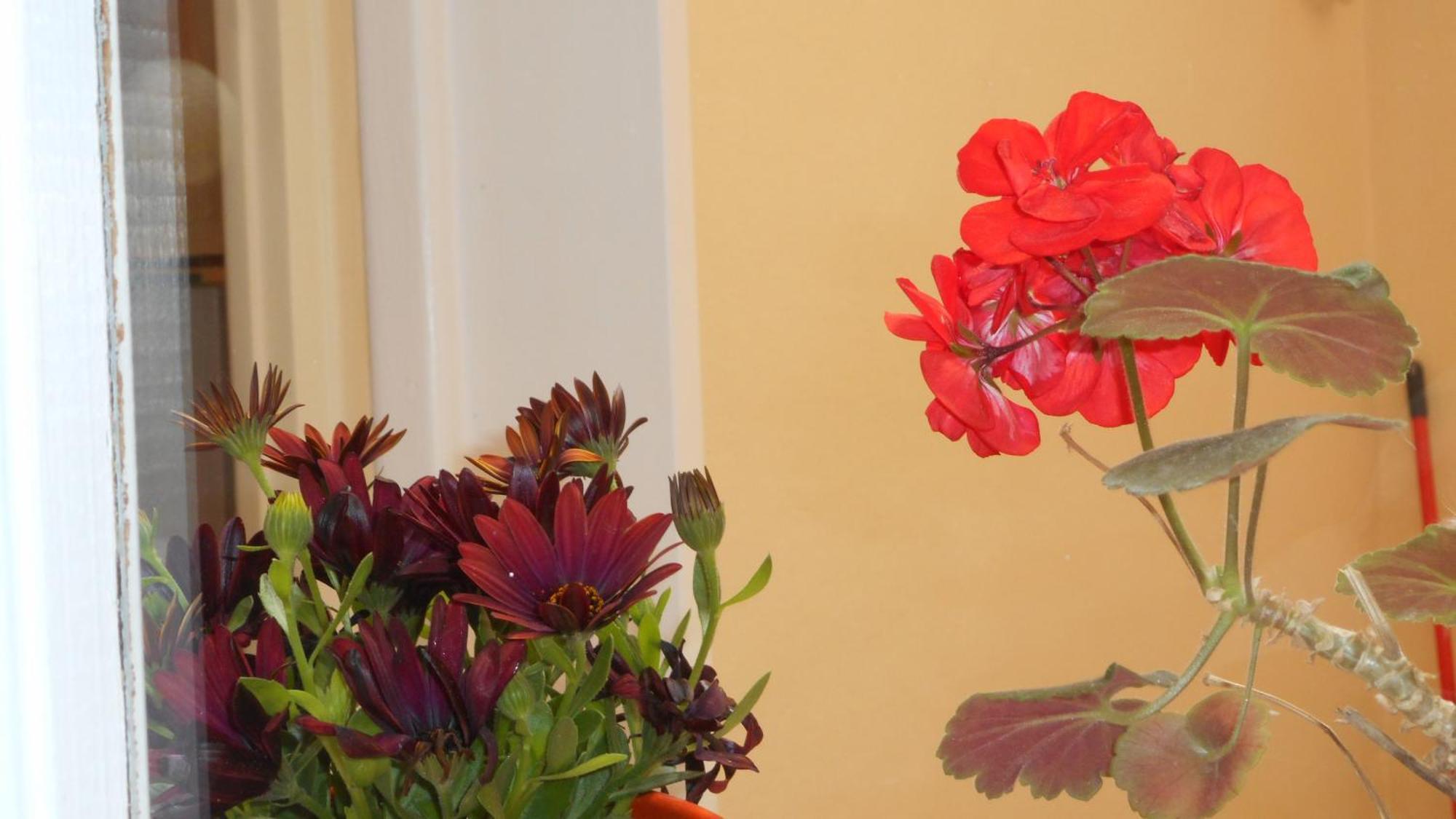 Elegant And Comfortable Apartment In The City Center Ermoupoli Luaran gambar