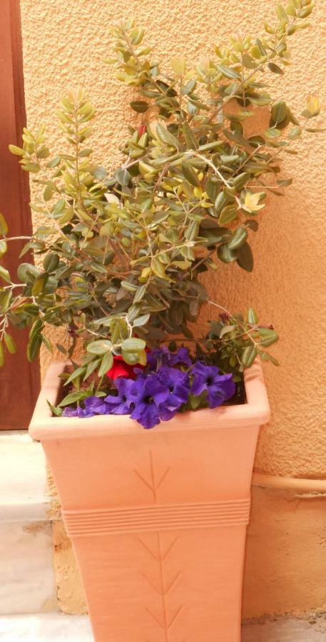 Elegant And Comfortable Apartment In The City Center Ermoupoli Luaran gambar